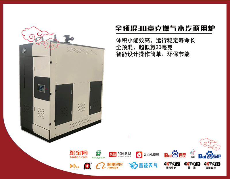 0.5噸全預(yù)混超低氮燃氣水汽兩用爐